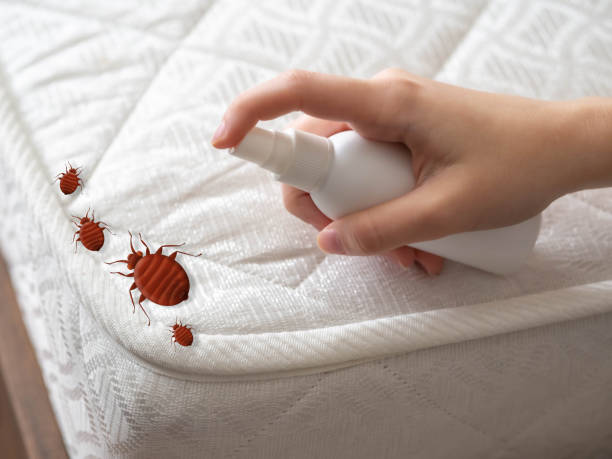 Pest Control for Hotels in Bethpage, NY